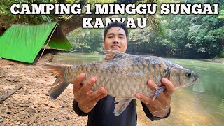 Camping Fishing 1 Minggu hujan deras di hulu sungai kanyau mencari ikan semah langsung di masak [upl. by London]