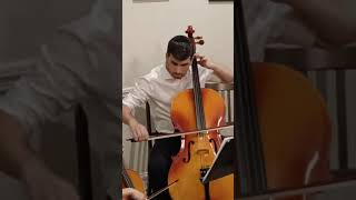 Ode to Joy  Cello Duet [upl. by Tirza]