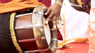 Namagiripettai Krishnan  Nadaswaram Music  Endaro Mahanubhavulu – Carnatic Classical Music [upl. by Assenev]