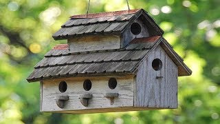 30 Amazing DIY Ideas To Build a BirdHouse [upl. by Amandi105]