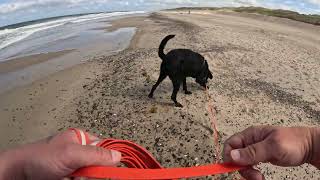 Am Strand von Vejlby Klit mit Familie Spazieren Teil 2 [upl. by Lepley483]