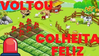 COLHEITA FELIZ VOLTOU 2024  TEM VIDEO NOVO [upl. by Dripps]