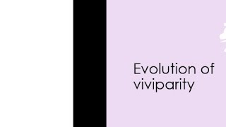 Evolution of viviparity  MSc  BSc  By kusum [upl. by Akemat]