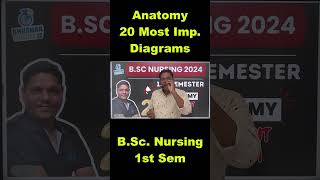 1ST SEMESTER ANATOMY BSc NURSING 20 MOST IMP DIAGRAM 2024  BHUSHAN SCINECE  NURSING INC SYLLABUS [upl. by Massimiliano]