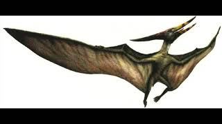 Pteranodon Sound Effects [upl. by Maia397]