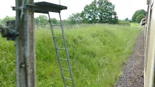 Bluebell Railway [upl. by Broeder]