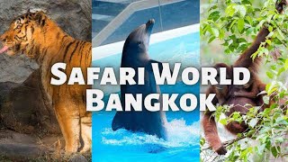 SAFARI WORLD BANGKOK [upl. by Jillana]