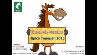 Curso Verano Equitación 2015 Aprende a Montar a Caballo Hípico Tepepan [upl. by Corinna34]