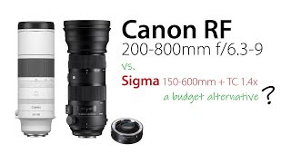 NEW Canon RF 200800 vs Sigma 150600 with TC 14x 210840mm [upl. by Hocker]