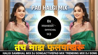 Tuch Maz Phulpakhru  DJ Song Remix तुच माझं फुलपाखरू  Mazya Kaljat G Mazya Hrudyat G  Halgi Mix [upl. by Keverne425]