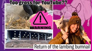 Is this too much for YouTube lambs and the building from the back Bust drain and PTO won’t stay on [upl. by Nnahs]