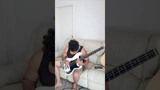 Hotel California  with a twist heres my Rock version on Bass guitar 🎸 Hope you enjoy [upl. by Eniaj]