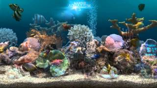 Marine Aquarium 32 for Android [upl. by Oiziruam746]