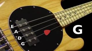 Bass Tuner  Standard Bass Tuning E A D G 4 Strings [upl. by Adnahcir405]