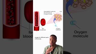 Iron Deficiency Anemia Simplified In 60 Seconds health anemia nurses science doctor education [upl. by Eanwahs]