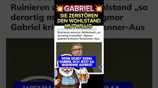 💥SELBST SIEGMAR GABRIEL versteht die Welt nicht mehr💥 afd spd ampel bsw cdu politik weidel [upl. by Anertac287]