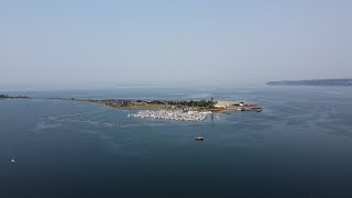 Kayaking Semiahmoo Bay  Blaine Washington State [upl. by Whittemore545]