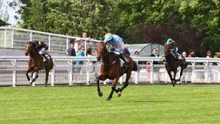 Un De Sceaux Auteuil 2016 Prix La Barka 210516 [upl. by Haon]