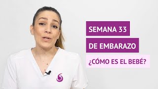 ¿Cómo es el bebé en la semana 33 de embarazo [upl. by Kano505]