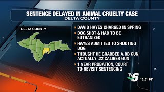 Delta County man receives delay of sentencing for animal cruelty charge [upl. by Eicyac]