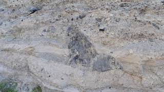 Phonolitic Phreatomagmatic Deposits from Caldera del Rey Adeje Region SW Tenerife [upl. by Aviv860]