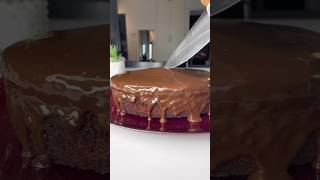 Homemade MATILDA chocolate cake explore viralvideo food dessert cake [upl. by Chilton]