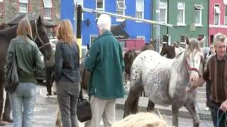 Bantry Horse Fair [upl. by Ellehcim]