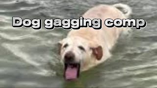 Dog gagging compilation [upl. by Jewelle]