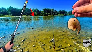 Catching BIG Catfish From The Bank Of The Maumee River [upl. by Toma858]