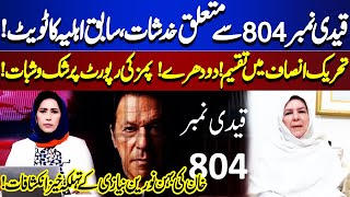 Qaidi No 804  Jemima Goldsmith  Division In PTI  PIMs Report  Noreen Niazi  Meher Bokhari [upl. by Enelrak]