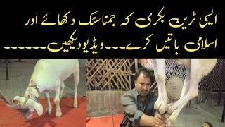 bakri k kartabbakri or bandar ka khel in lahorefarhan zaman vlogs [upl. by Aihsirt334]