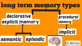 types of long term memory declarationprocedural in psychologyby Dr Nimra [upl. by Ennaed]