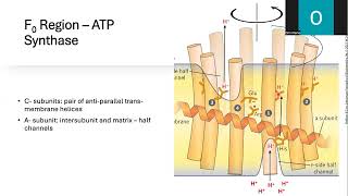 ATP Synthase and Cancer [upl. by Che]