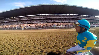 GoPro Feature American Pharoahs Belmont Stakes [upl. by Enialb]