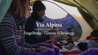 Seven Days Hiking the Via Alpina  Engelberg  Griesalp Part I [upl. by Hoyt]