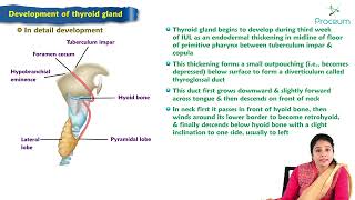 Development of thyroid gland  Embryology Lecture [upl. by Siraf]