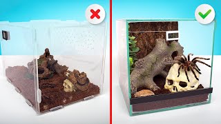 2 Perfect Homes For Your Pet Spider  Assembling A Tarantula Terrarium [upl. by Nassir]