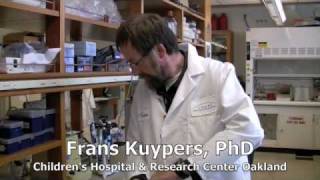 Childrens Hospital Oakland  Research Institutes Placenta Stem Cell Finding [upl. by Alliscirp]