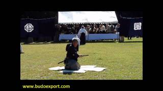 Sekiguchi Ryu Iai  Demonstration Meiji Jingu 2010  Iaijutsu  Battodo [upl. by Callahan]