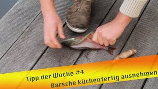 Tipp der Woche 4 Barsche küchenfertig ausnehmen [upl. by Wittie63]