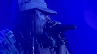 Alpha Blondy  Live au Nancy Jazz Pulsation [upl. by Gladis]