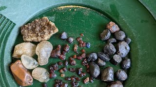 Biggest Garnets Yet 2 Day Gold And Gems Reveal After 2 Days Exploring New England NSW [upl. by Eiffe]