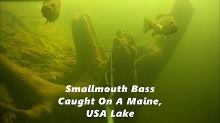 Smallmouth Action In New England [upl. by Ritter]