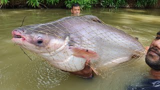 Big Fish Video  Fish Catching by Cast Net  Net Fishing [upl. by Aneez]