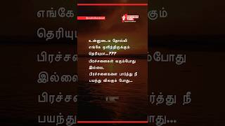 Sunday Motivation Do you know what your failure is  Motivibes Tamil [upl. by Yssak]