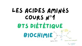 LESSENTIEL SUR LES ACIDES AMINÉS pour le BTS DIETETIQUE cours de biochimie  Léa Réveillée [upl. by Leonora696]