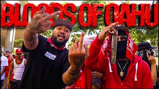 The Bloods of Oahu  Inside The MOST DANGEROUS Hood in Hawaii [upl. by Ordnas]