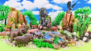 20 Minutes Satisfying Build Jungle Wild Animals  Safari Animals Diorama Scenery  Gaby Animals [upl. by Aikem]