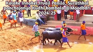 Kolake Innokel  Irvail Panila  Surathkal Panchajanya Kudhi Moodbidri 202425 [upl. by Smalley233]