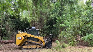 Forestry Mulching amp Land Clearing Service South East Louisiana [upl. by Antipus910]